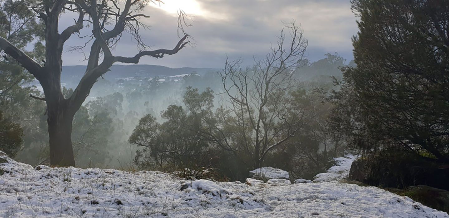Австралію раптово засипало снігом: фото