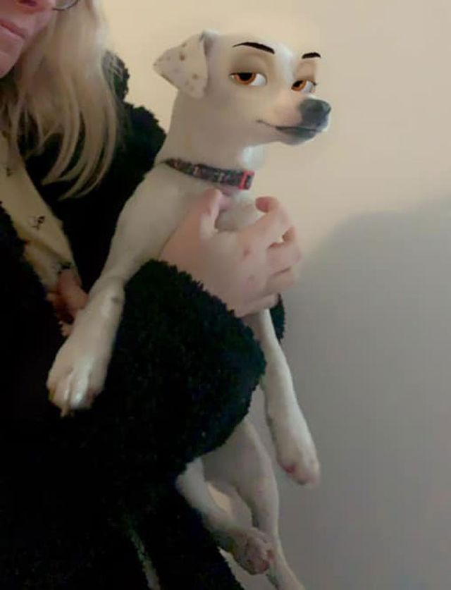 Laura Crozier - фото 419972