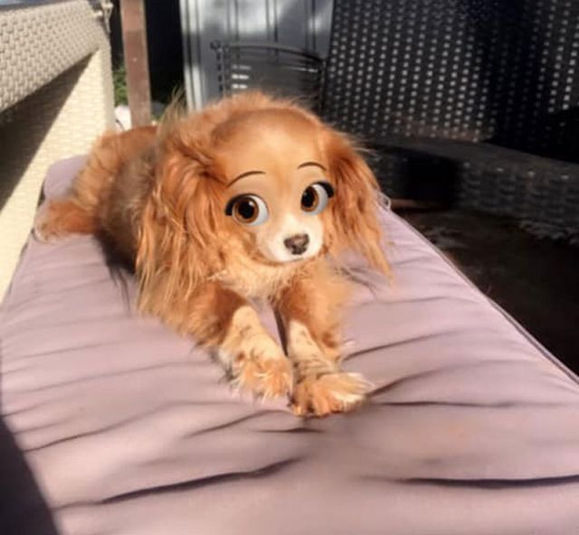 Brooke Marie - фото 419974