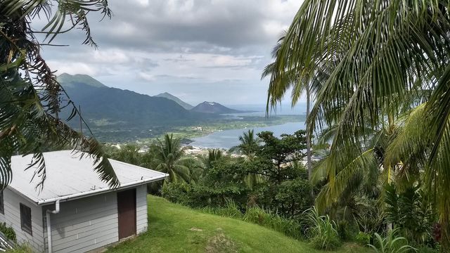 Названий острів з найбільшим розмаїттям рослин у світі - фото 419996