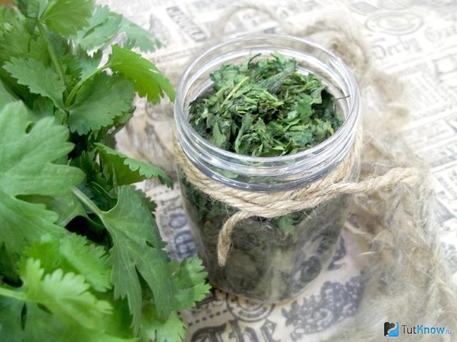 Як заготовити зелень на зиму: способи заморозки - фото 420103