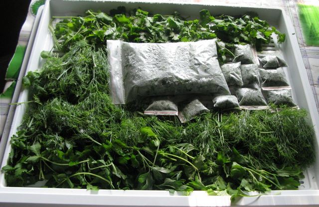 Як заготовити зелень на зиму: способи заморозки - фото 420105