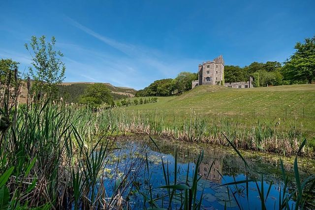 У Британії виставили на продаж замок з драконом - фото 420258