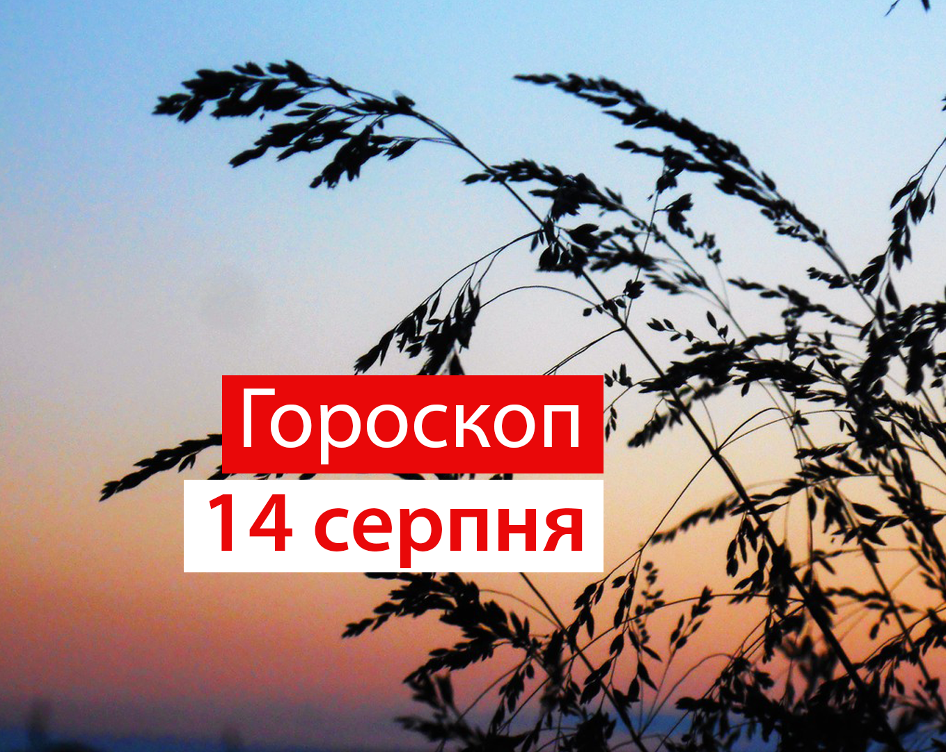 Гороскоп на 14 серпня 2020: прогноз для всіх знаків Зодіаку