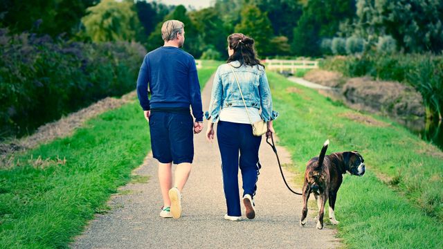 Прогулянка- фото 420337