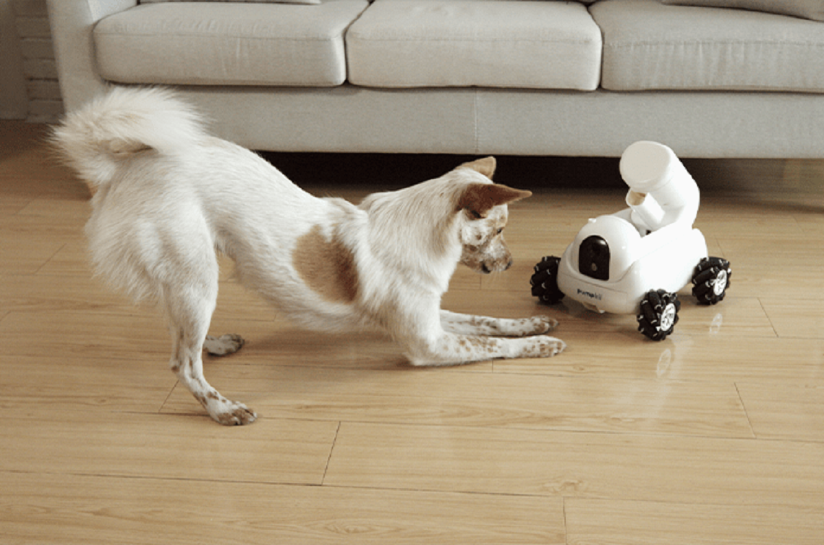 Робот для домашніх тварин - фото 1