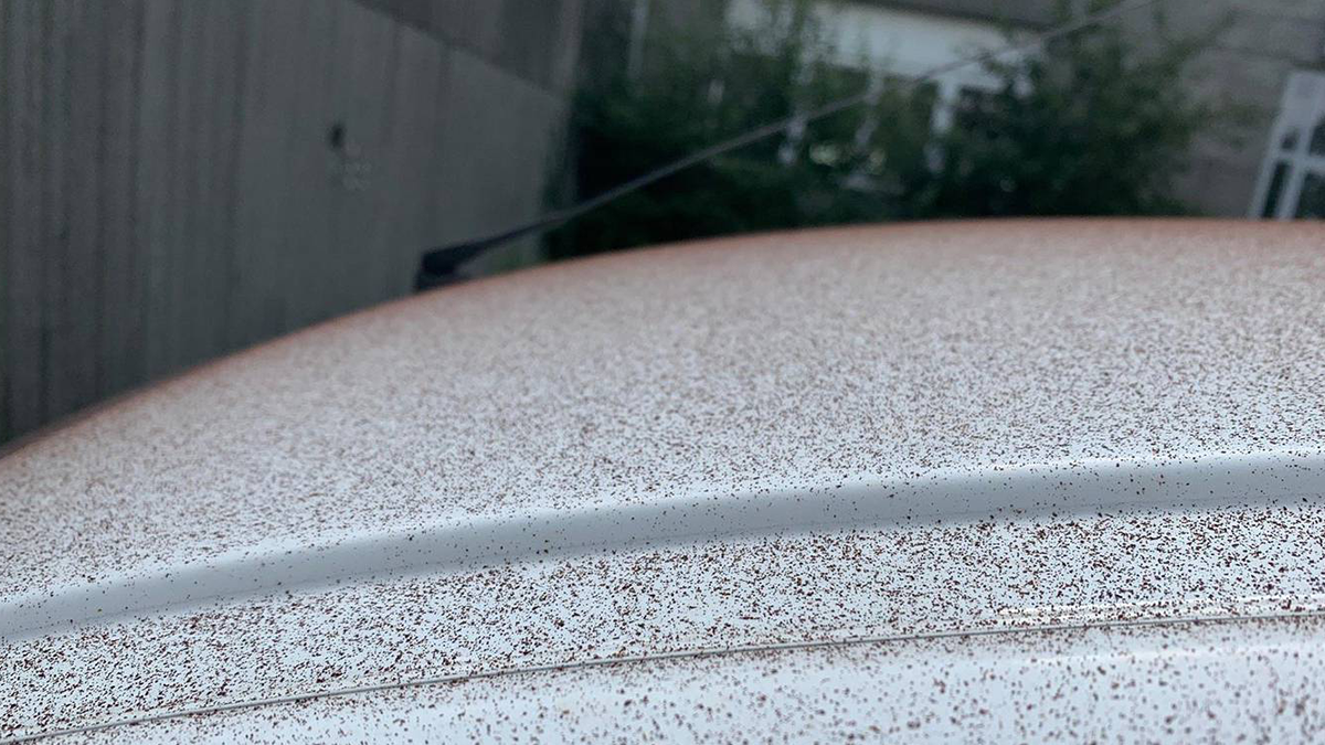 У швейцарському містечку пішов шоколадний дощ: фотофакт