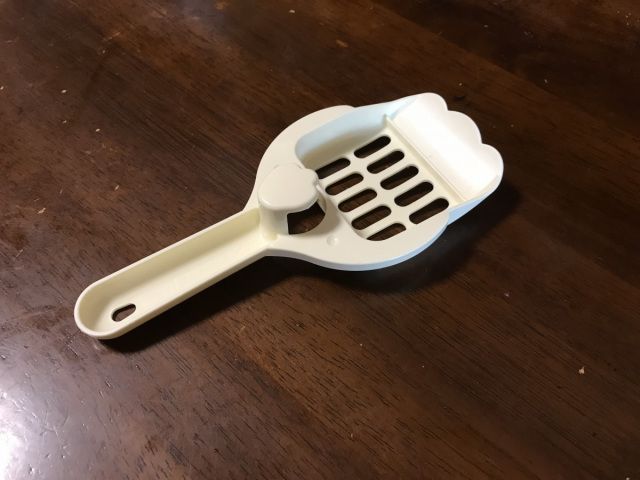 Готель у Японії пропонує орендувати на ніч кота - фото 421204