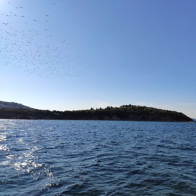 Вид на Принцові острови - фото 421492