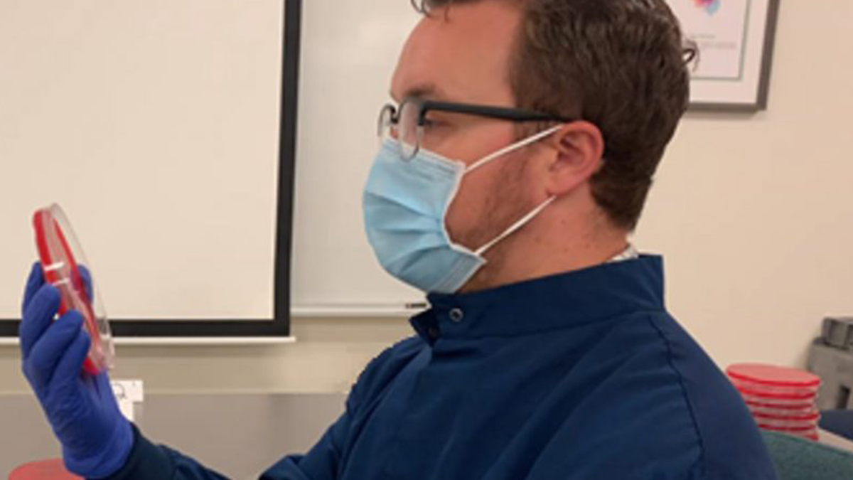 Фото спеціально для тих, хто вважає, що маски не допомагають: експеримент мікробіолога