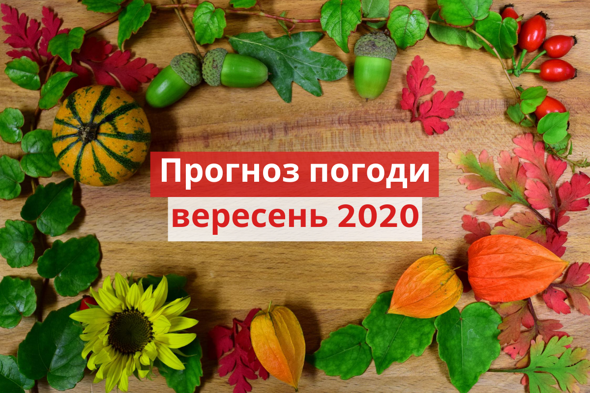 Погода у вересні 2020 в Україні: прогноз синоптиків на місяць