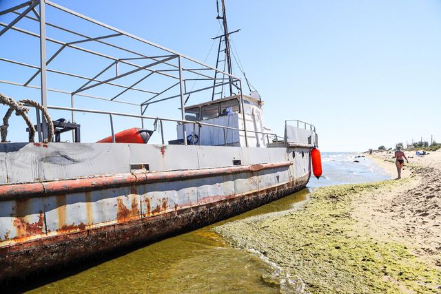 У Затоці на пляж викинуло корабель: фото та відео - фото 422018