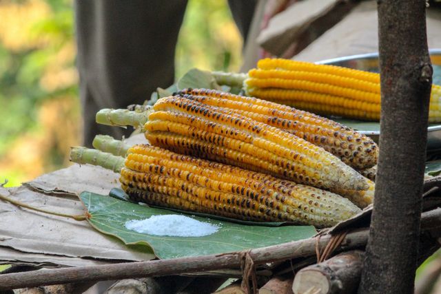 Як запекти кукурудзу в духовці, на грилі чи в мікрохвильовці: 5 рецептів - фото 422042