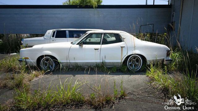 Машини-привиди: як виглядають унікальні авто, покинуті під час аварія на Фукусімі - фото 422062