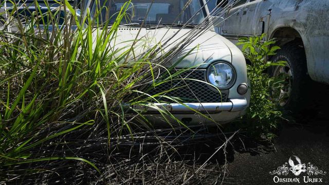Машини-привиди: як виглядають унікальні авто, покинуті під час аварія на Фукусімі - фото 422069