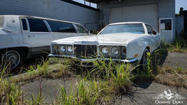 Машини-привиди: як виглядають унікальні авто, покинуті під час аварія на Фукусімі - фото 422070