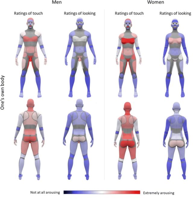 З'явилась свіжа карта жіночих і чоловічих ерогенних зон: гайда вивчати разом - фото 422242