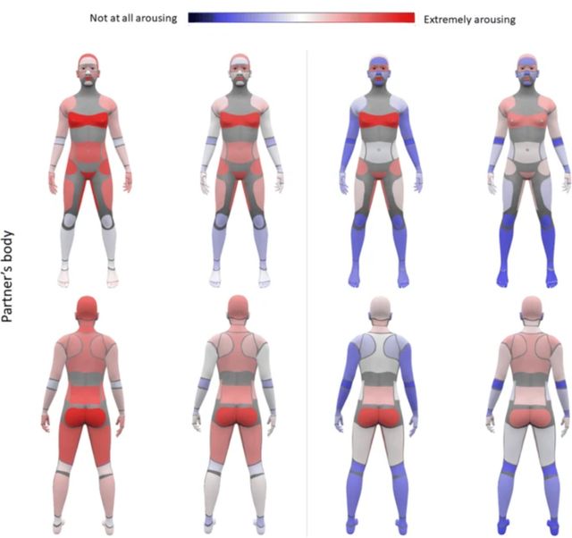 З'явилась свіжа карта жіночих і чоловічих ерогенних зон: гайда вивчати разом - фото 422243