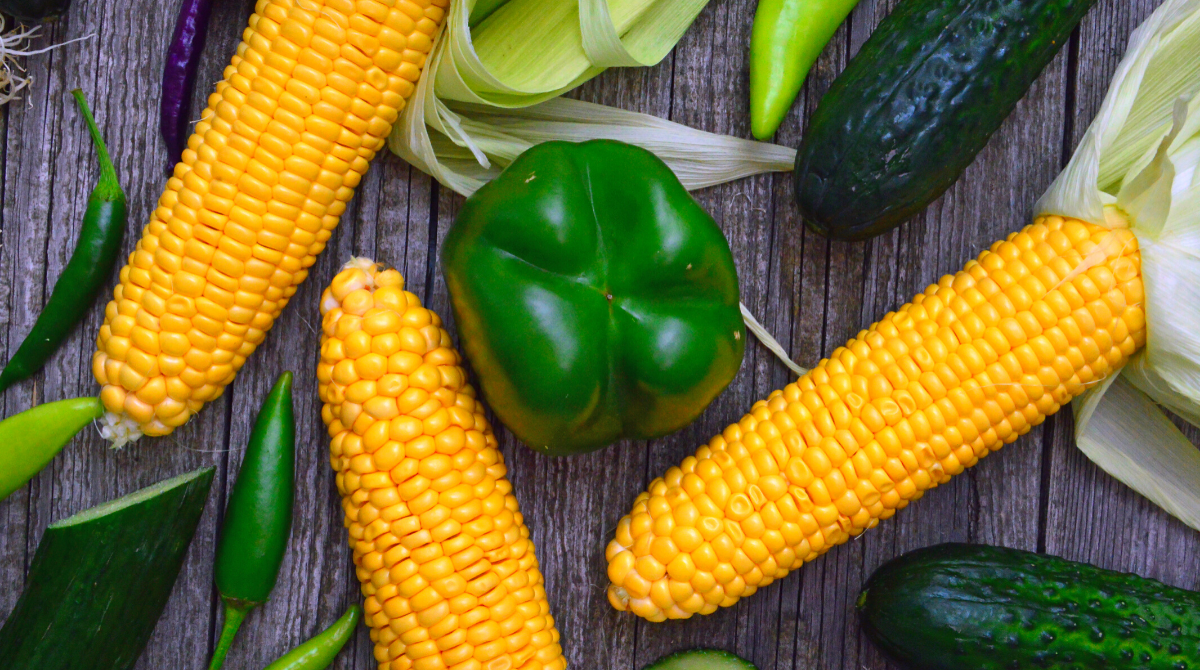 як законсервувати кукурудзу - фото 1