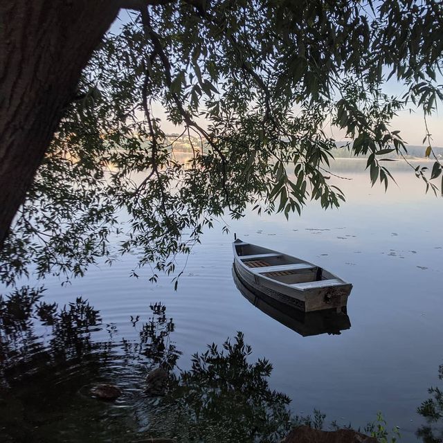 День міста Тернопіль 2020: програма заходів, куди можна піти - фото 422508