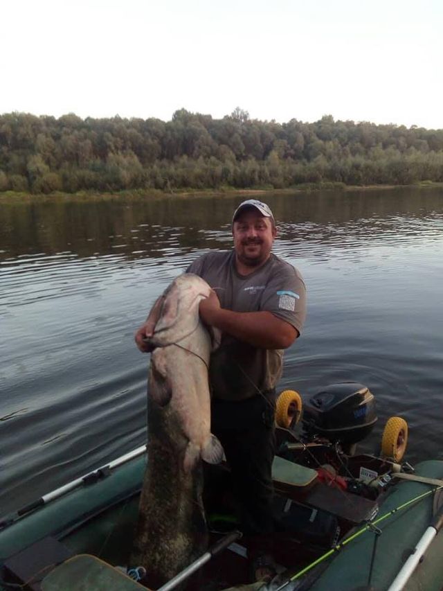 Житель Чернігівщини упіймав гігантського сома: вражаючі фото - фото 423031