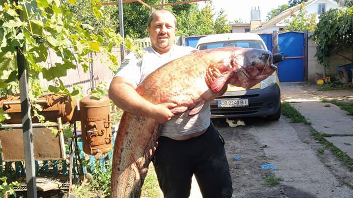 Житель Чернігівщини упіймав гігантського сома: вражаючі фото - фото 1