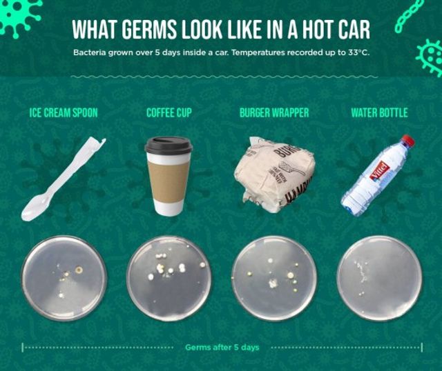 Чому не варто залишати будь-які речі в машині: нове дослідження (фото) - фото 423054