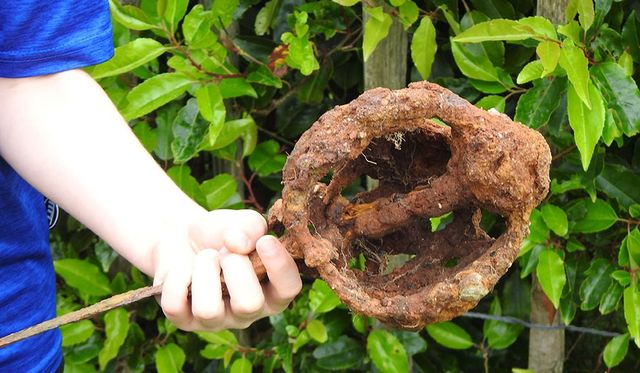 Меч XVII століття - фото 423186