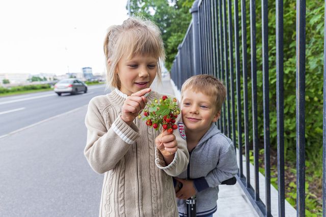 Твір про літо: Як я провів / провела літні канікули (10 прикладів) - фото 423285