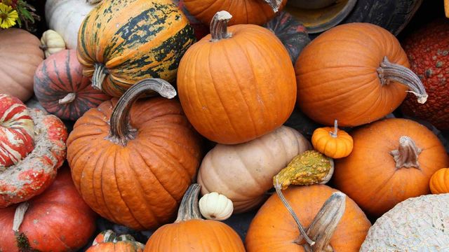 3 вересня 2020 – яке сьогодні свято: традиції, заборони і прикмети - фото 423373