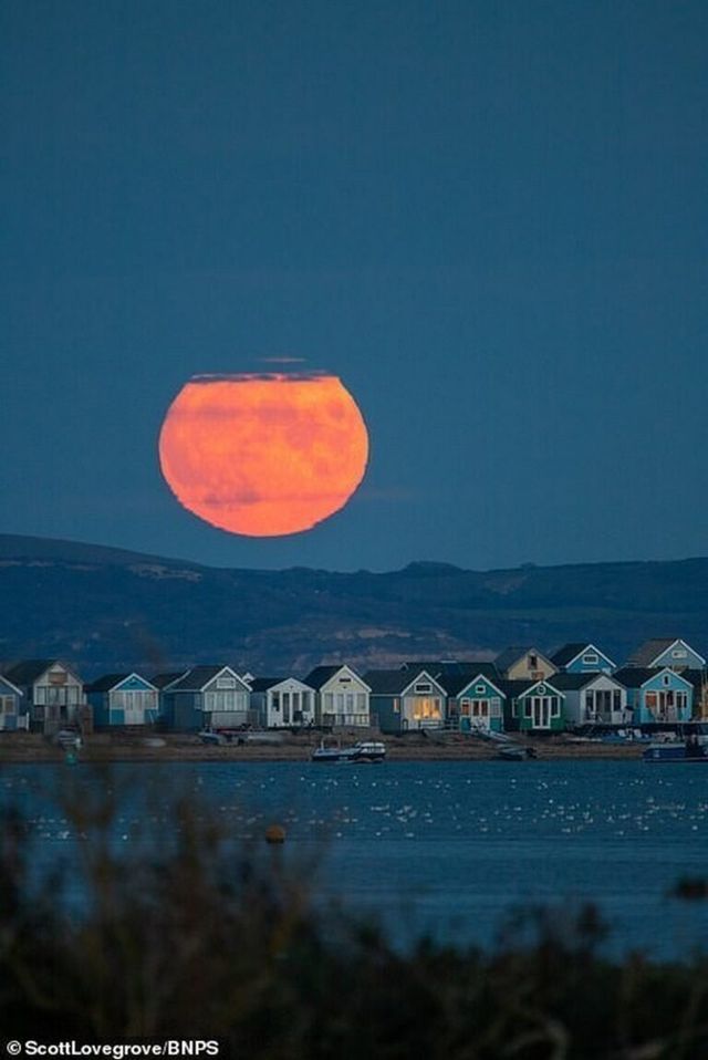 Кукурудзяний місяць: з'явилися яскраві знімки рідкісного явища - фото 423544