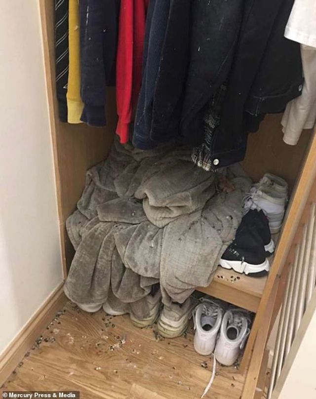 Студента шокував стан його квартири після п'яти місяців карантину: фото - фото 423726