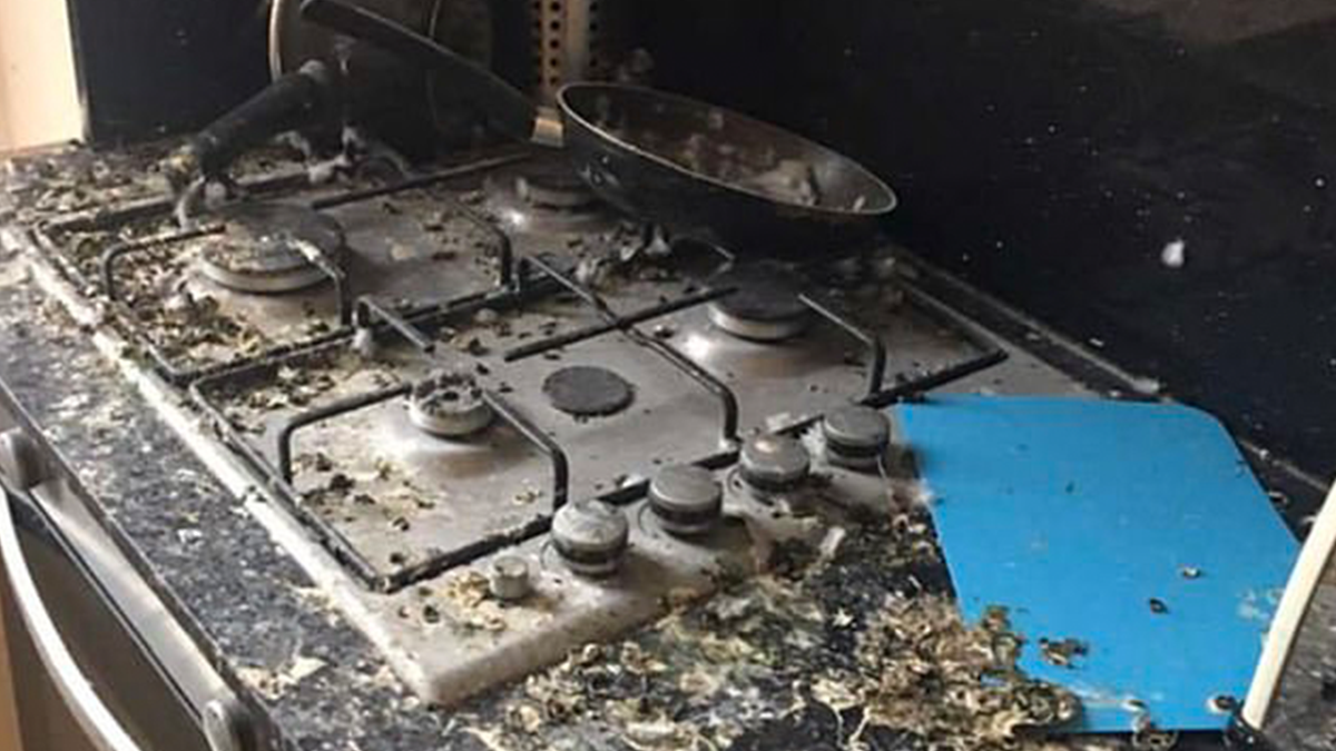 Студента шокував стан його квартири після п'яти місяців карантину: фото