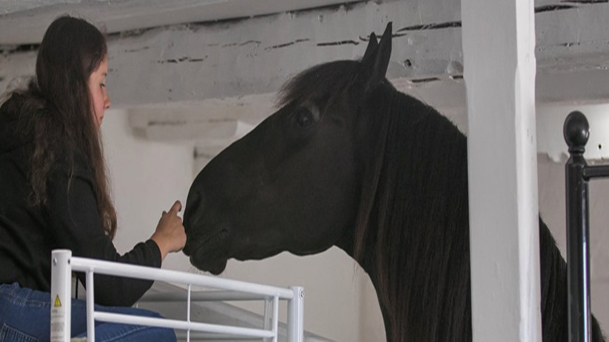 У Великобританії відкрився готель, в якому можна провести ніч в стійлі з кіньми - фото 1