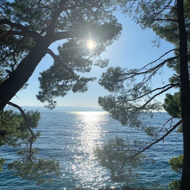 Наталя Могилевська показала, де відпочиває під час пандемії коронавірусу - фото 424850