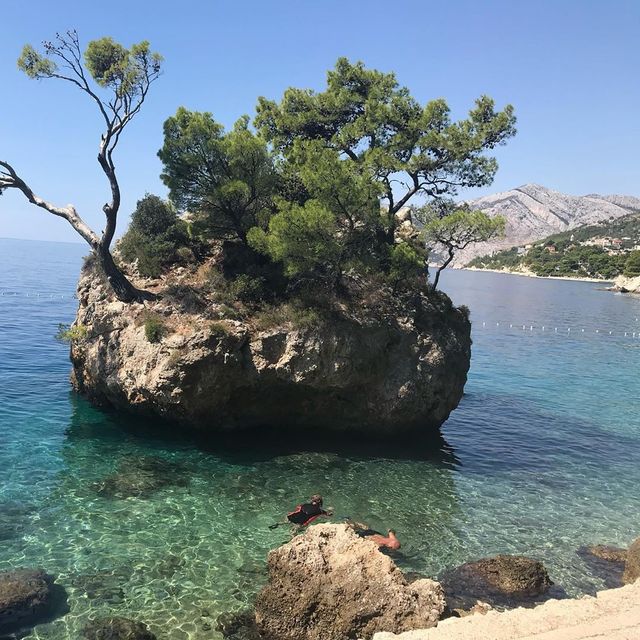 Наталя Могилевська показала, де відпочиває під час пандемії коронавірусу - фото 424855