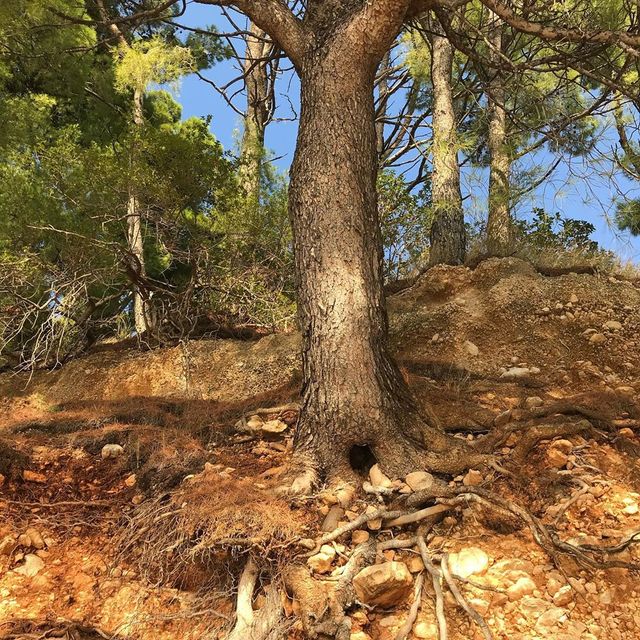 Наталя Могилевська показала, де відпочиває під час пандемії коронавірусу - фото 424858