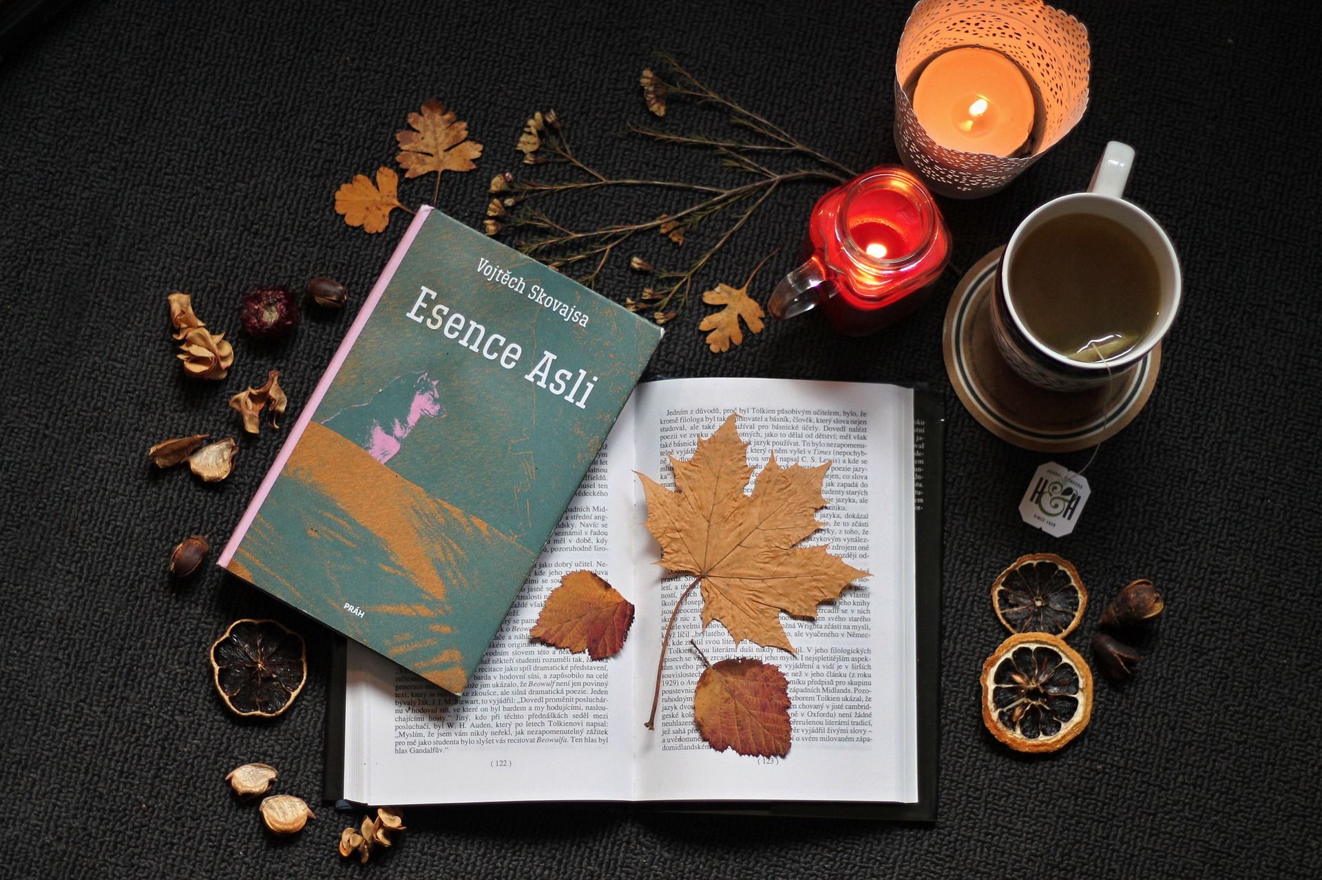 5 антиутопій, які варто прочитати цієї осені