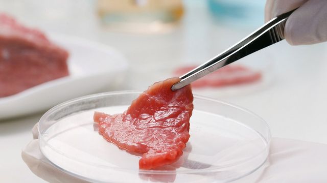 Штучна їжа- фото 424992