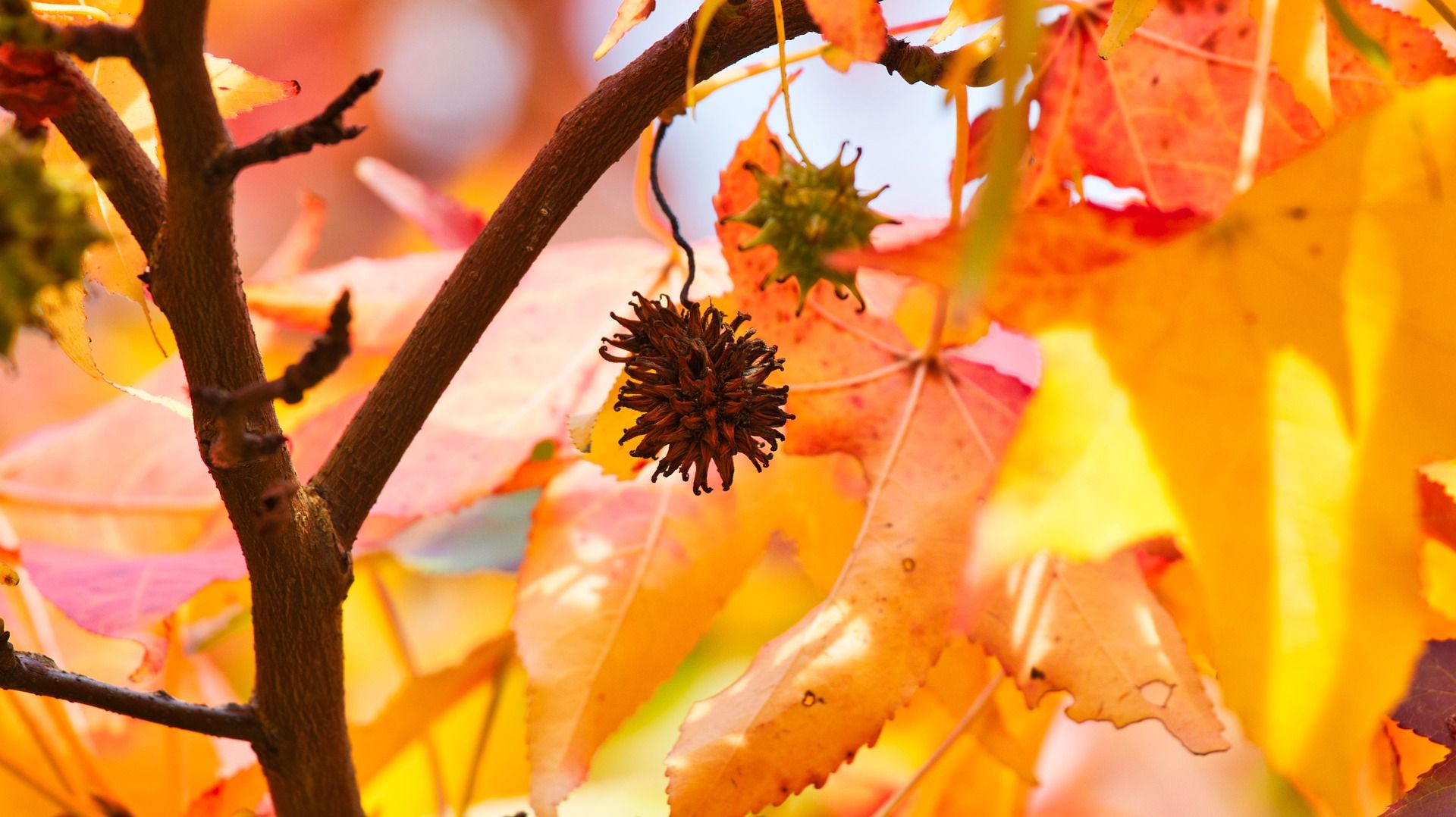 Прогноз погоди на сьогодні - фото 1