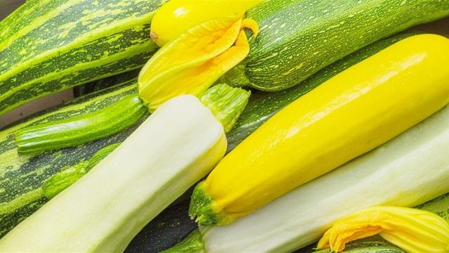 Користь кабачків- фото 425636