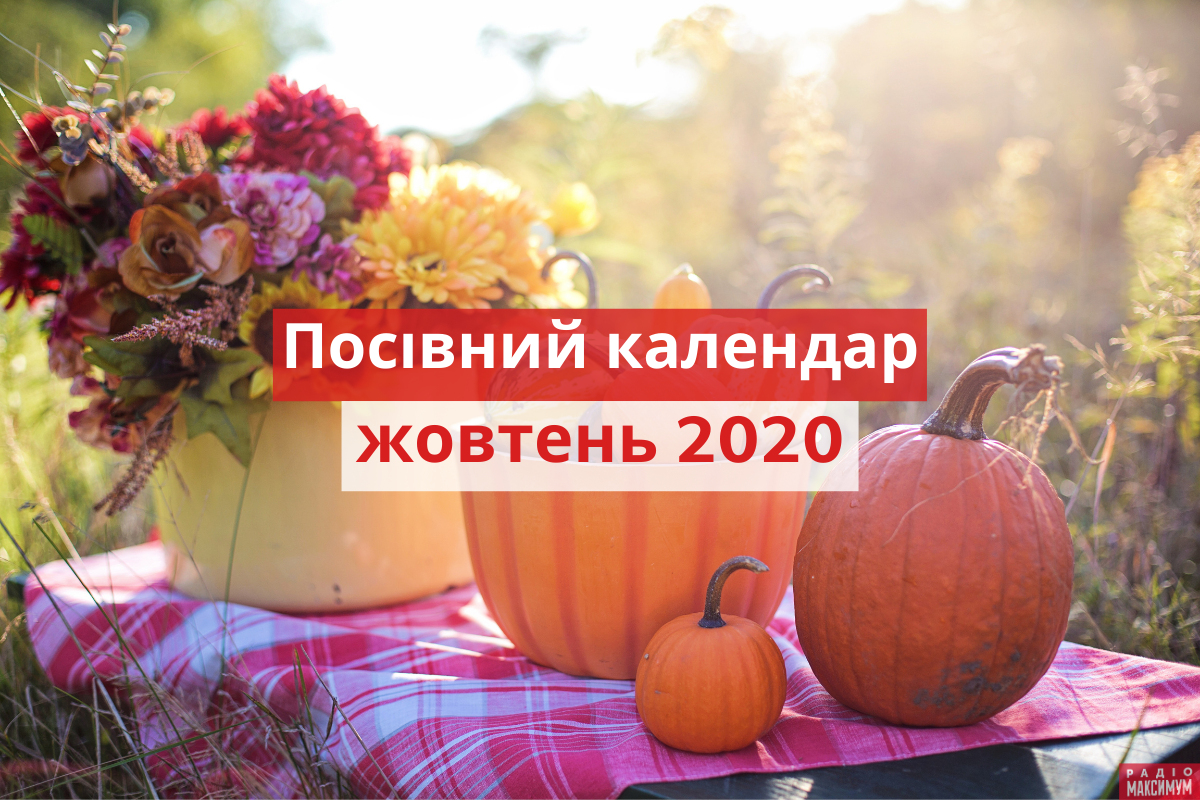 Посівний календар для городника на жовтень - фото 1