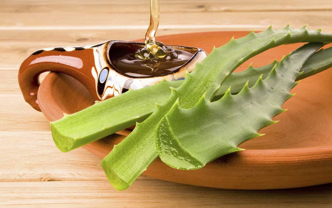 Названі цілющі властивості алое, про які ви не знали