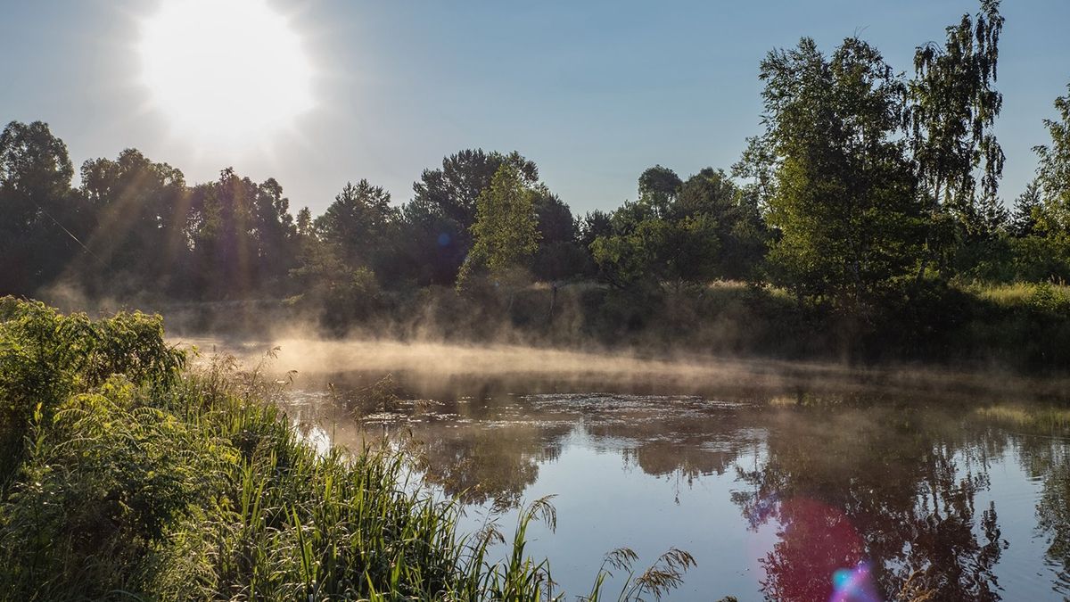 Чорнобильська зона відучуження - фото 1