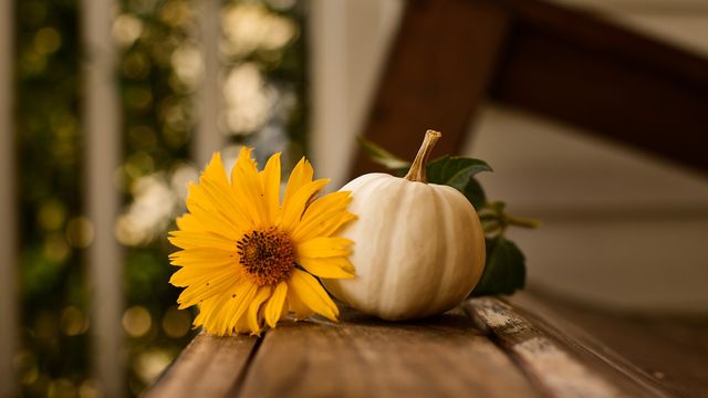 Осінь настала: красиві картинки на робочий стіл ПК і заставки для телефона - фото 426677