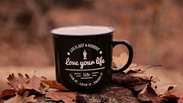 Осінь настала: красиві картинки на робочий стіл ПК і заставки для телефона - фото 426679