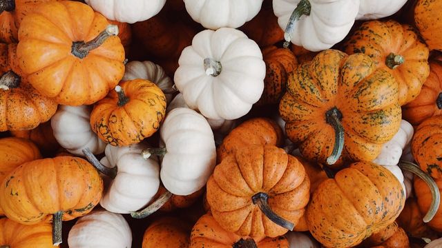 Осінь настала: красиві картинки на робочий стіл ПК і заставки для телефона - фото 426683