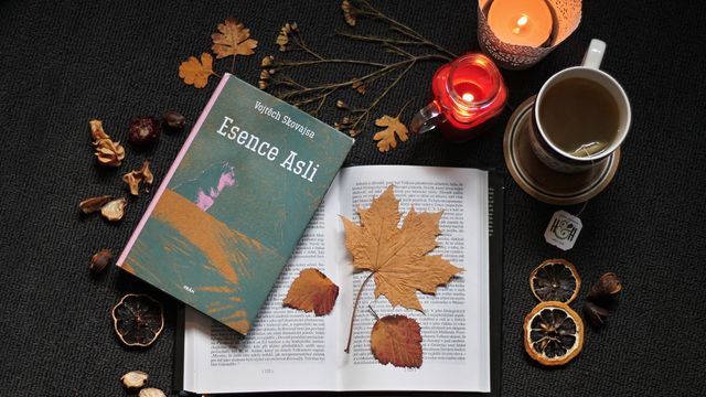 Осінь настала: красиві картинки на робочий стіл ПК і заставки для телефона - фото 426685