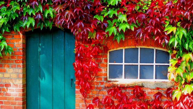 Осінь настала: красиві картинки на робочий стіл ПК і заставки для телефона - фото 426690