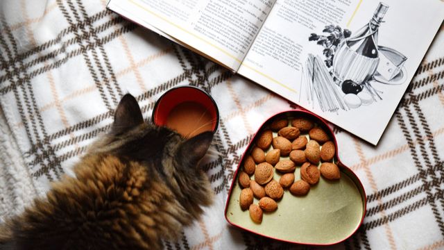 Осінь настала: красиві картинки на робочий стіл ПК і заставки для телефона - фото 426691